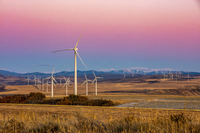 Wind turbines in a field with clear purple sky