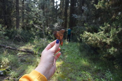 Cropped image of hand holding heart shaped leaf