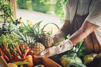 Midsection of man holding pineapple