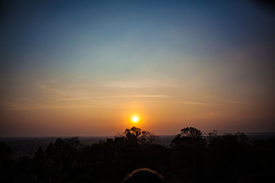 Silhouette trees against sky during sunset