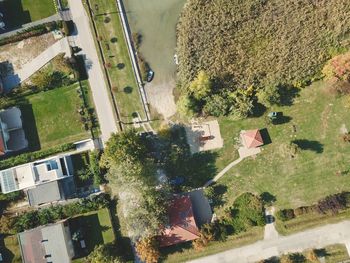 High angle view of trees and buildings in city