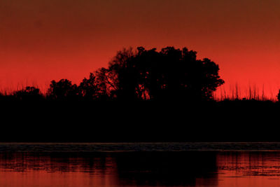 Silhouette trees by lake against sky at night