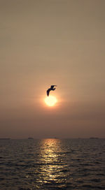 Bird flying over sea against sky during sunset