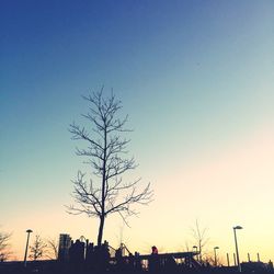 Low angle view of silhouette tree against clear sky