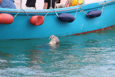 View of swimming in sea