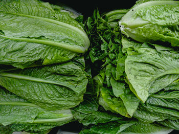 Full frame shot of green leaves