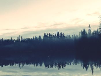 Reflection of silhouette trees in lake against sky at sunset