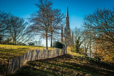 Bare trees on field against clear blue sky