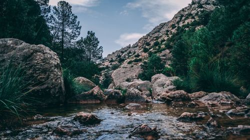 Scenic view of rocks by trees against sky