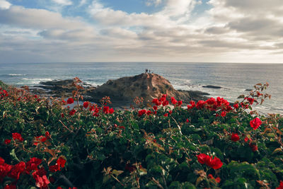 Scenic view of sea against cloudy sky