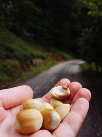 Close-up of hand holding fruits