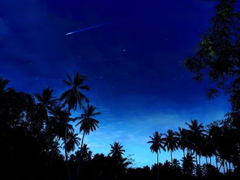 Low angle view of silhouette trees against sky at night