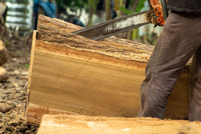 Closeup chainsaw cutting the log by chainsaw machine with sawdust fly around.