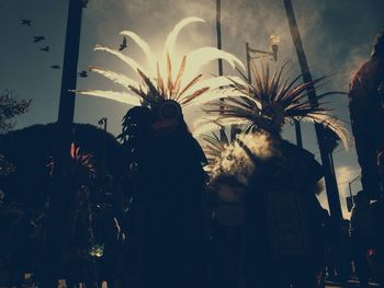 Low angle view of firework display at night