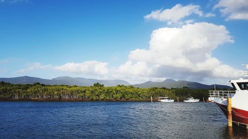 Panoramic view of trees and mountains against sky