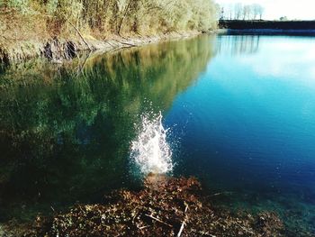 Reflection of trees in lake