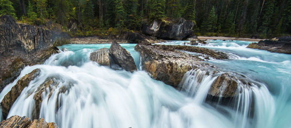 Scenic view of waterfall in forest