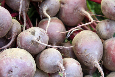 Full frame shot of common beet for sale in market