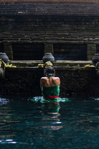 Rear view of bird in water