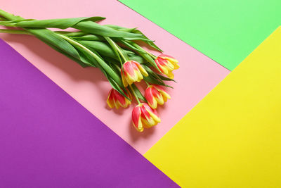 High angle view of multi colored roses on table