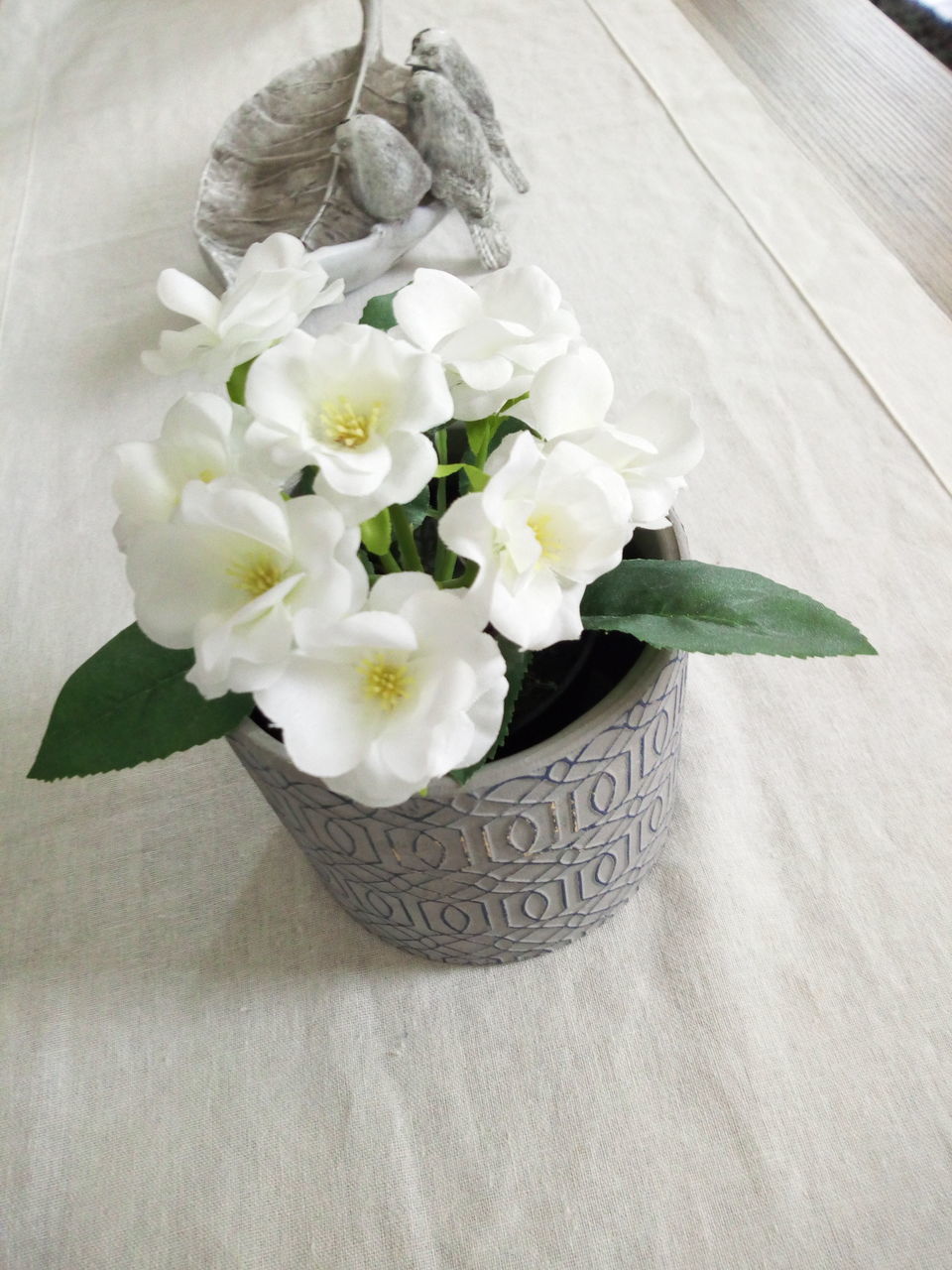 flowering plant, flower, plant, freshness, beauty in nature, close-up, vulnerability, nature, flower head, fragility, petal, vase, inflorescence, table, white color, no people, indoors, high angle view, wood - material, flower arrangement, bouquet