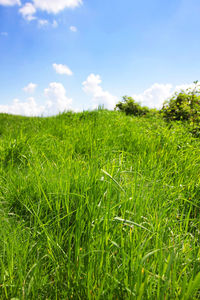 Scenic view of grassy field against cloudy sky