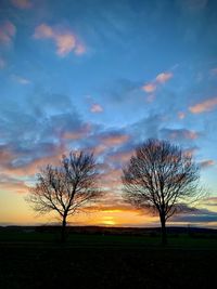 Silhouette bare tree on field against sky during sunset