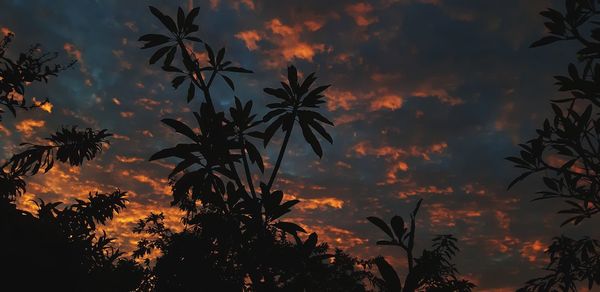 Low angle view of silhouette trees against sky during sunset