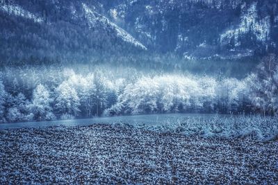 Scenic view of frozen landscape