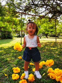 Baby girl standing on yellow flowering plants