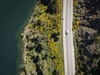 High angle view of trees by road in forest