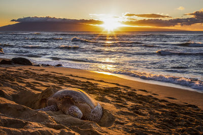 Scenic view of sea against sky during sunset