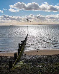 Seagull flying over sea against sky