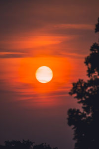 Scenic view of silhouette trees against romantic sky at sunset