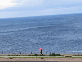 Rear view of person standing on railing by sea against sky