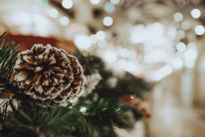 Forest cones on the christmas tree. new year's composition. festive mood. winter holiday concept