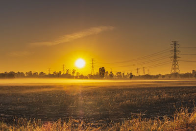 The sunrise in the rice field in winter, roi et, thailand
