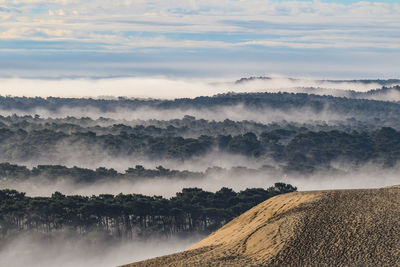 Scenic view of landscape against sky