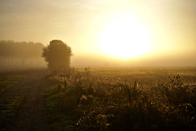 Scenic view of field against sky during sunset