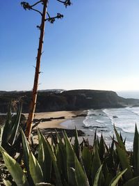 Scenic view of sea against clear blue sky