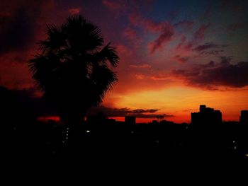 Silhouette of trees at sunset