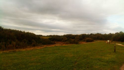 Scenic view of field against sky