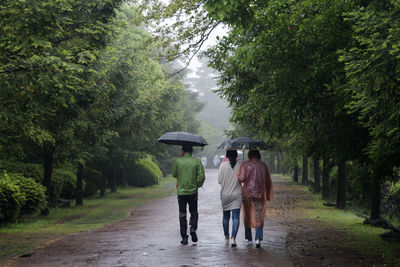 People walking with umbrella on footpath during rainy season at bijarim forest