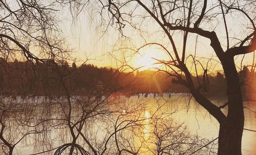 Silhouette bare tree by river against sky during sunset