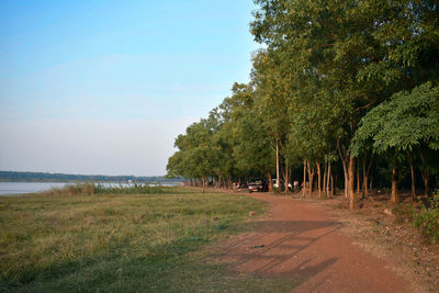 Trees on field by sea against sky