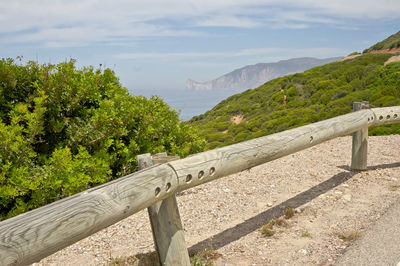 Scenic view of tree by mountain against sky
