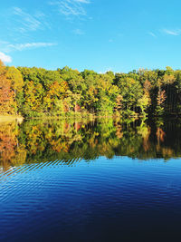 Scenic view of lake by trees against blue sky