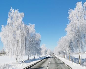 Snow covered road amidst trees against blue sky