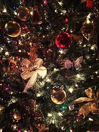 Low angle view of illuminated christmas tree