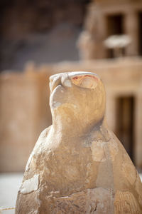 Hieroglyphs inside the temple of hatshepsut. jeser-jeseru is a masterpiece of egyptian architecture.